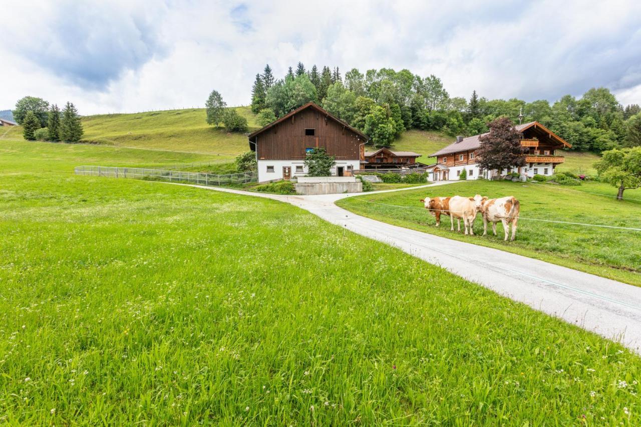 Ferienhaus Mittersill Am Biohof Widholz Buitenkant foto